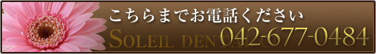 お電話でのお問い合わせは042-677-0484